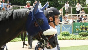 パドックのラキウラ