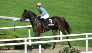 りんどう賞後のヤマニンエルモサ