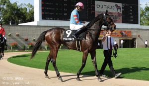 りんどう賞・ヤマニンエルモサ