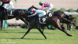 りんどう賞・ヤマニンエルモサ