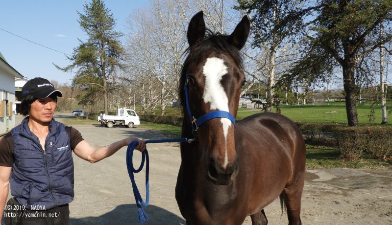 育成時代のマイラニ