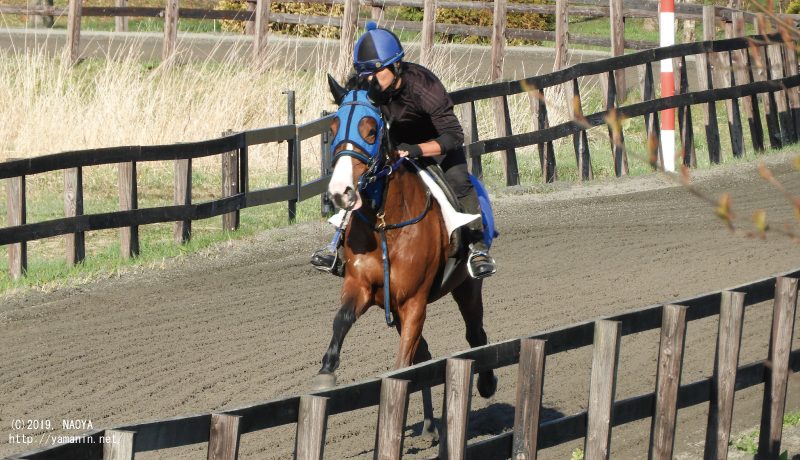 育成時代のルアオレ