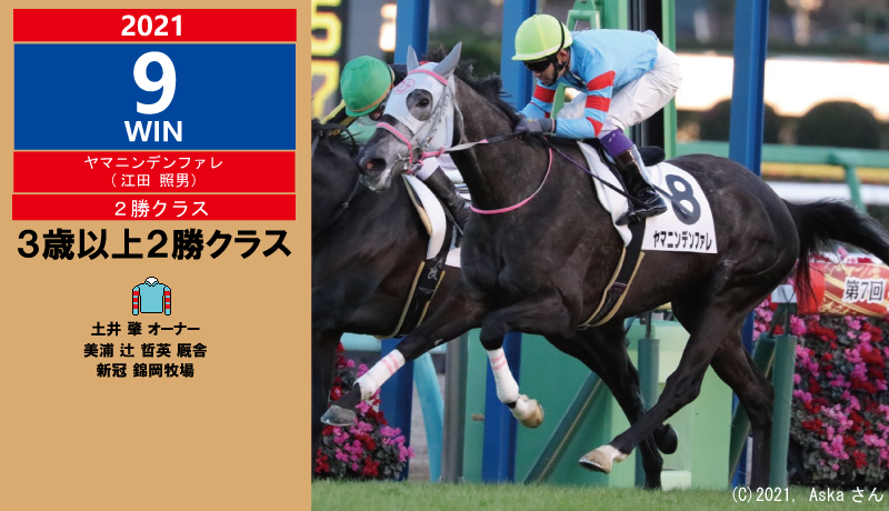 2021年9勝目・ヤマニンデンファレ
