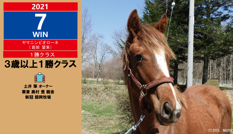 2021年7勝目・ヤマニンビオローネ