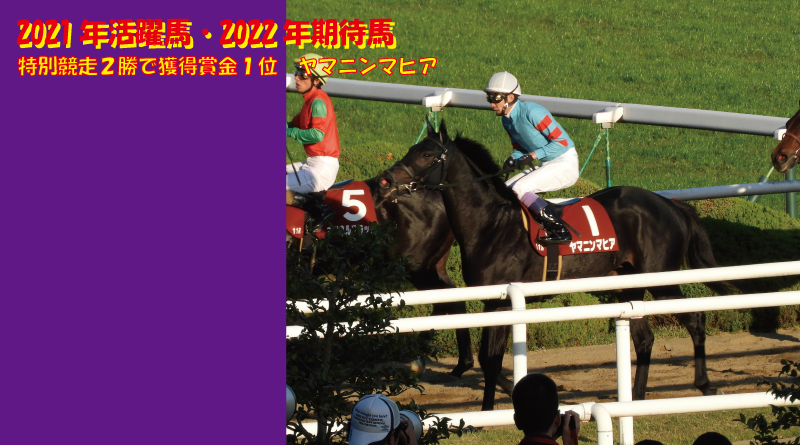 ヤマニン活躍馬2021･期待馬2022