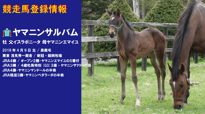 競走馬登録・ヤマニンサルバム
