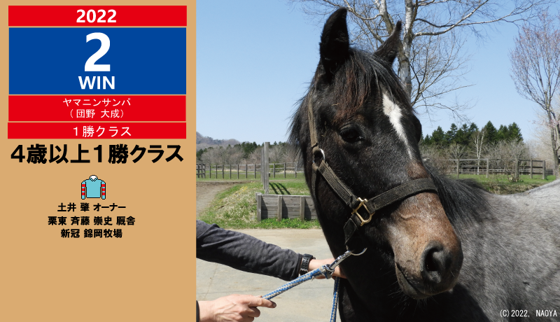 2022年2勝目・ヤマニンサンパ