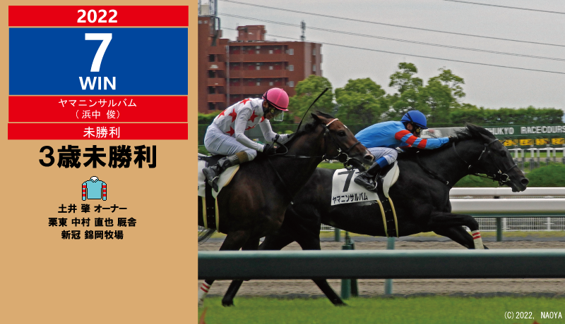 2022年7勝目・ヤマニンサルバム