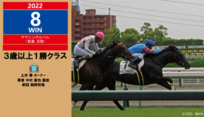2022年8勝目・ヤマニンサルバム