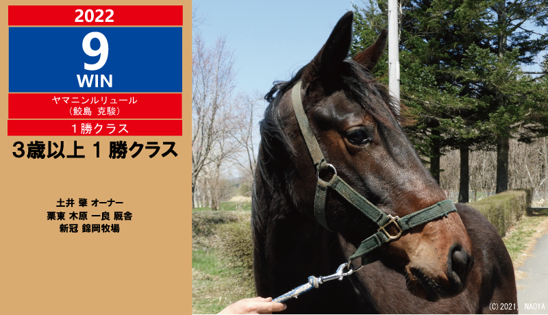 2022年9勝目・ヤマニンルリュール