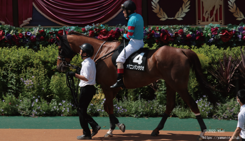 パドックのヤマニンバンタジオ