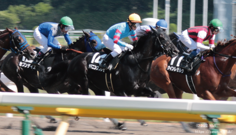 レース中のヤマニンスプレモ