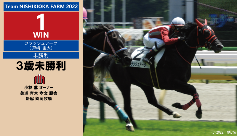 2022年生産馬1勝目・フラッシュアーク