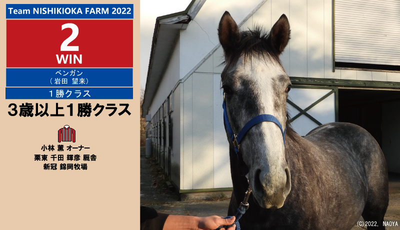 2022年生産馬2勝目・ベンガン
