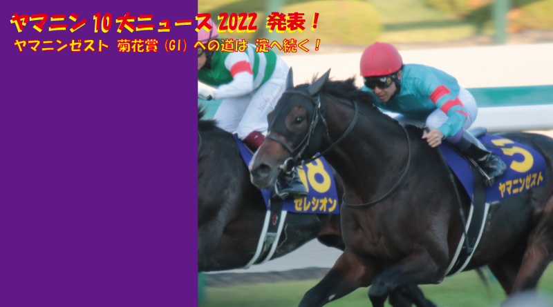 ヤマニン10大ニュース2022