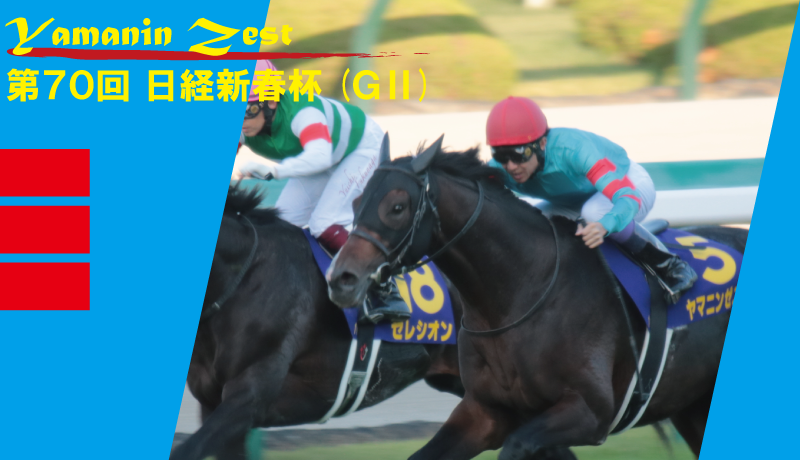 2023年 日経新春杯・ヤマニンゼスト