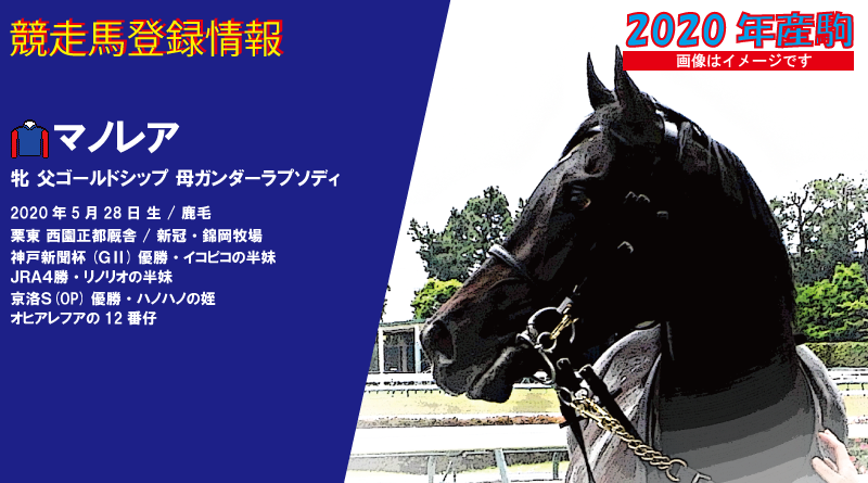 競走馬登録・マノレア