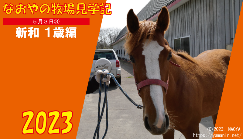 なおやの牧場見学記2023・5/3(3)編