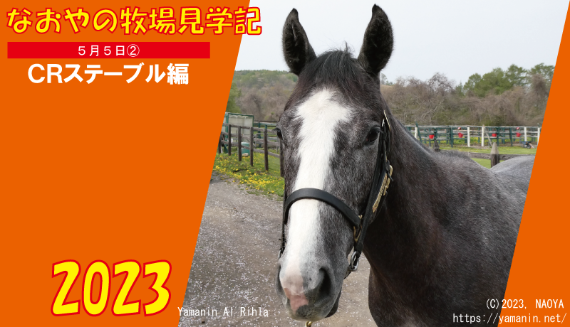 なおやの牧場見学記2023・5/5(2)編