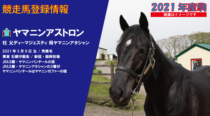 競走馬登録・ヤマニンアストロン