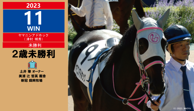 2023年11勝目・ヤマニンアドホック
