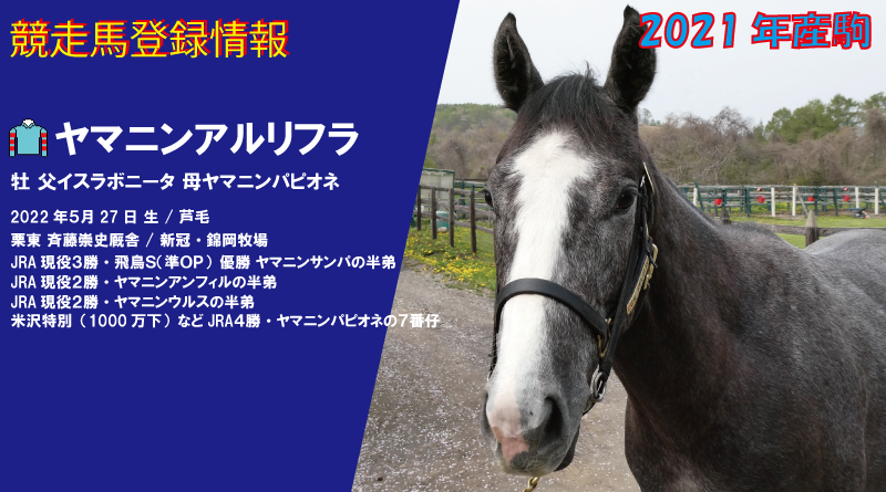 道楽　ヤマネデラックス　　　　　　　『関ヶ原馬の介』 パピオネ産駒ヤマニンアルリフラ 競走馬登録 | ヤマニン倶楽部