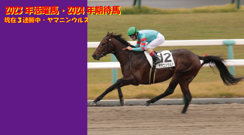 2023年活躍馬・2024年期待馬