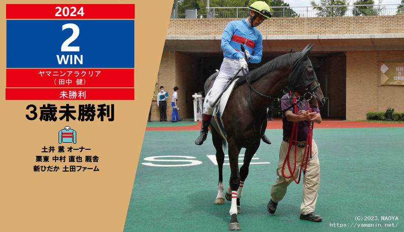 2024年2勝目・ヤマニンアラクリア