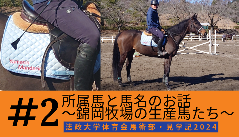 #2 所属馬と馬名のお話 ～錦岡牧場の生産馬たち～ | ヤマニン倶楽部