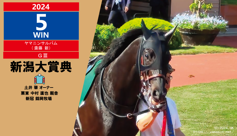 2024年5勝目・ヤマニンサルバム