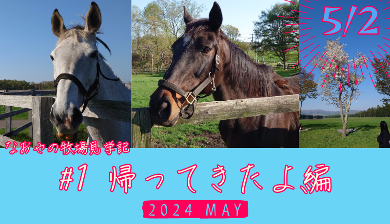 なおやの牧場見学記2024#1・帰ってきたよ編