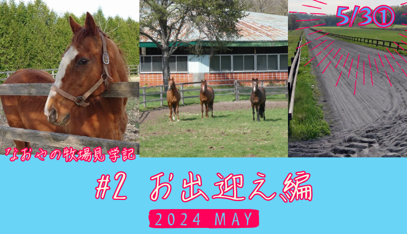 なおやの牧場見学記2024#2・お出迎え編