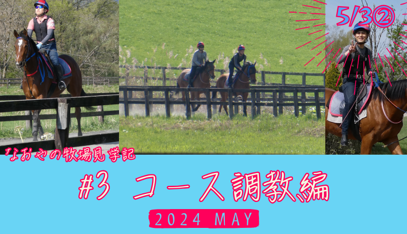 なおやの牧場見学記2024#3・コース調教編