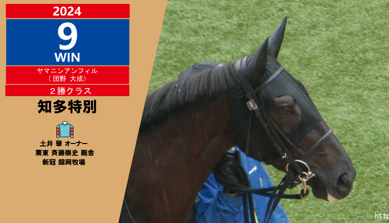 2024年9勝目・ヤマニンアンフィル