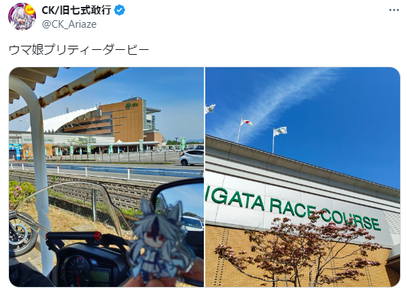CKさん in 新潟競馬場
