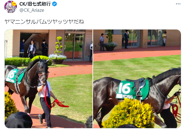 CKさん in ヤマニンサルバムのパドック