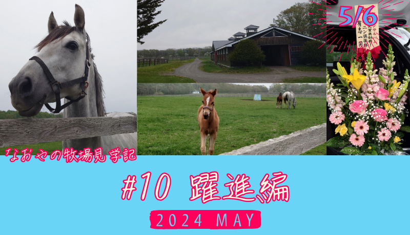 なおやの牧場見学記2024#9・躍進編