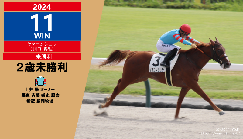 2024年11勝目・ヤマニンシュラ