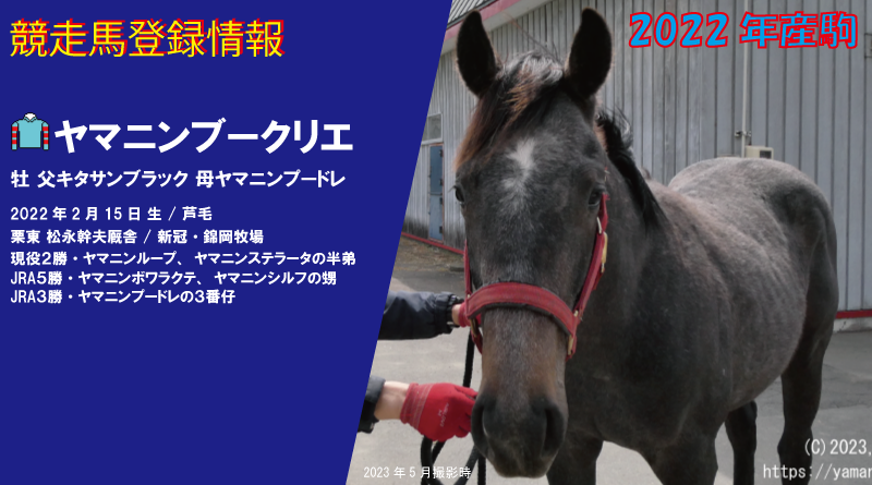 ステラータ・ループの半弟ヤマニンブークリエ 競走馬登録 | ヤマニン倶楽部