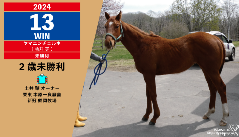 2024年13勝目・ヤマニンチェルキ