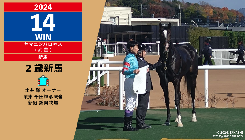 2024年14勝目・ヤマニンバロネス
