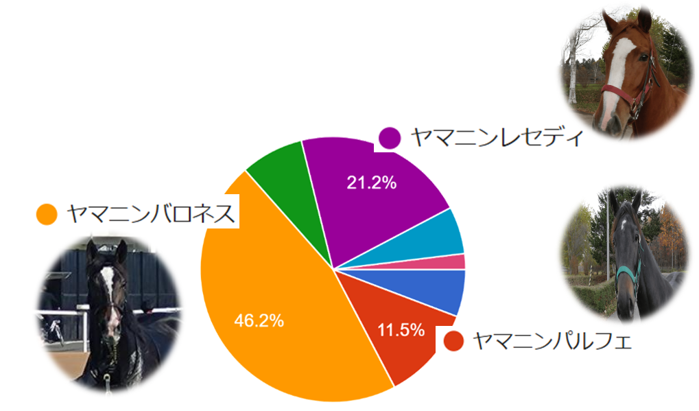 インターネットアンケート2024_期待3歳牝馬