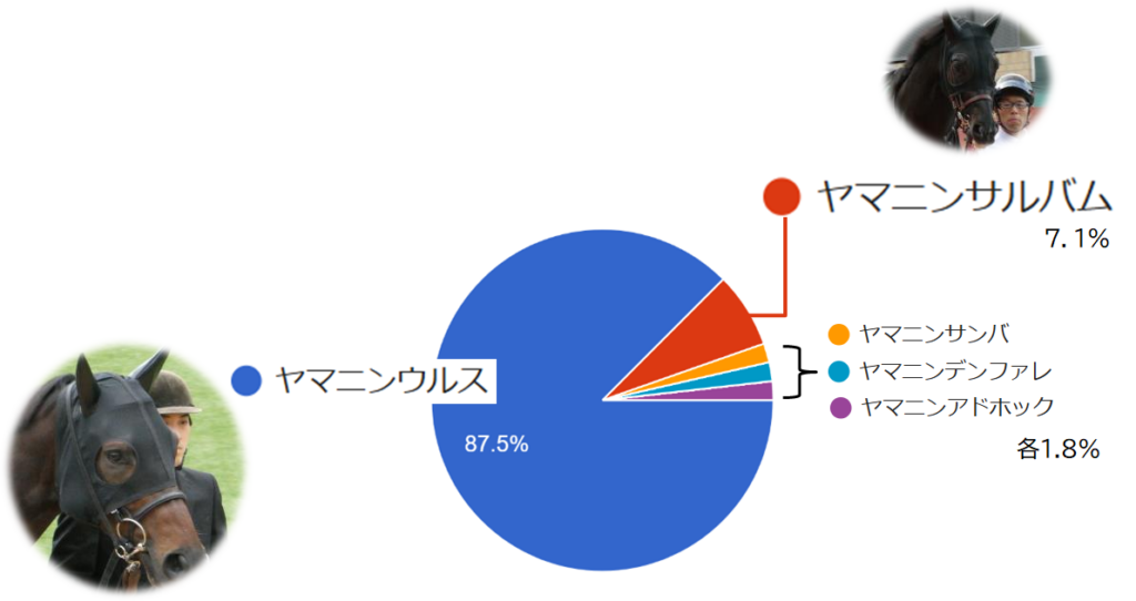インターネットアンケート2024_期待古馬