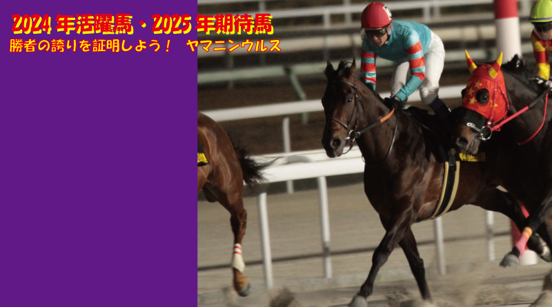 2024年の活躍馬・2025年の期待馬