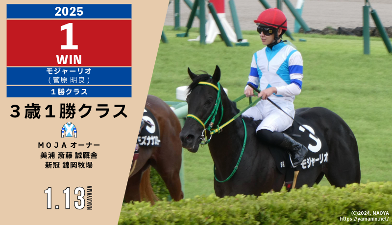 錦岡牧場生産馬2025年1勝目・モジャーリオ