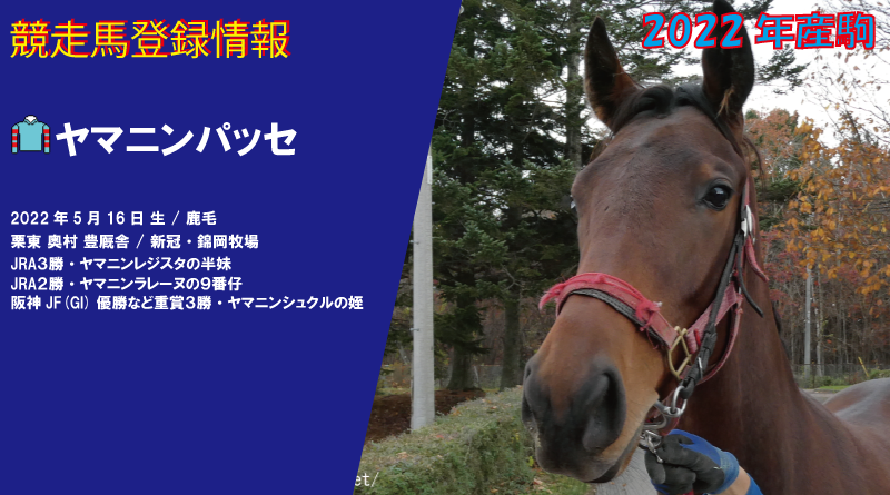 競走馬登録・ヤマニンパッセ