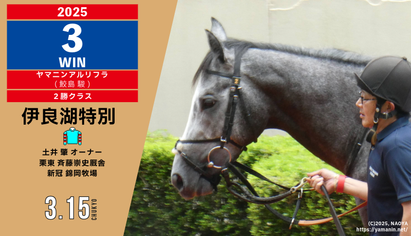 2025年3勝目・ヤマニンアルリフラ