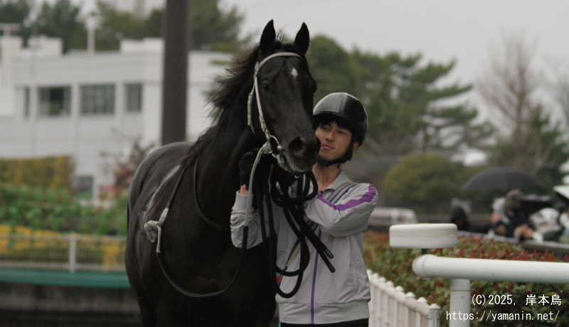 岡崎特別・ウイナーズサークルに向かうヤマニンアストロン