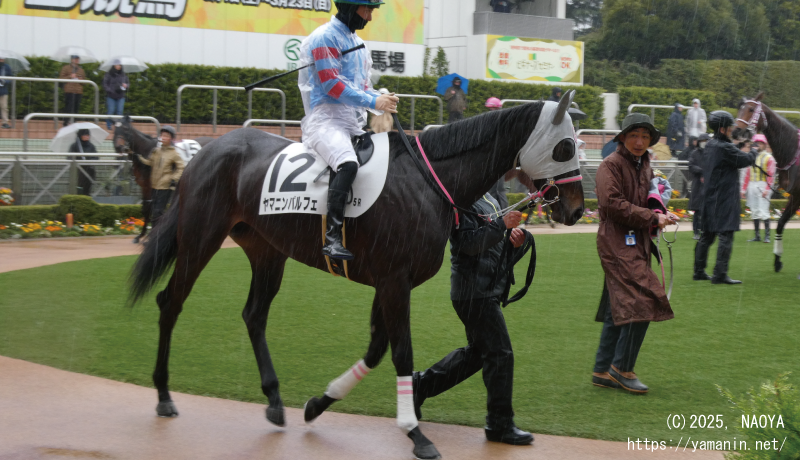 3歳未勝利・パドックのヤマニンパルフェ