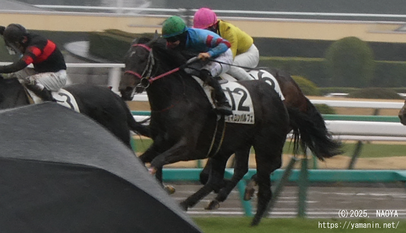 3歳未勝利・ゴールに向かうヤマニンパルフェ